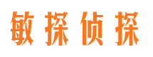 深圳市私家侦探